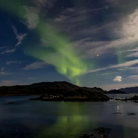 Aurora *